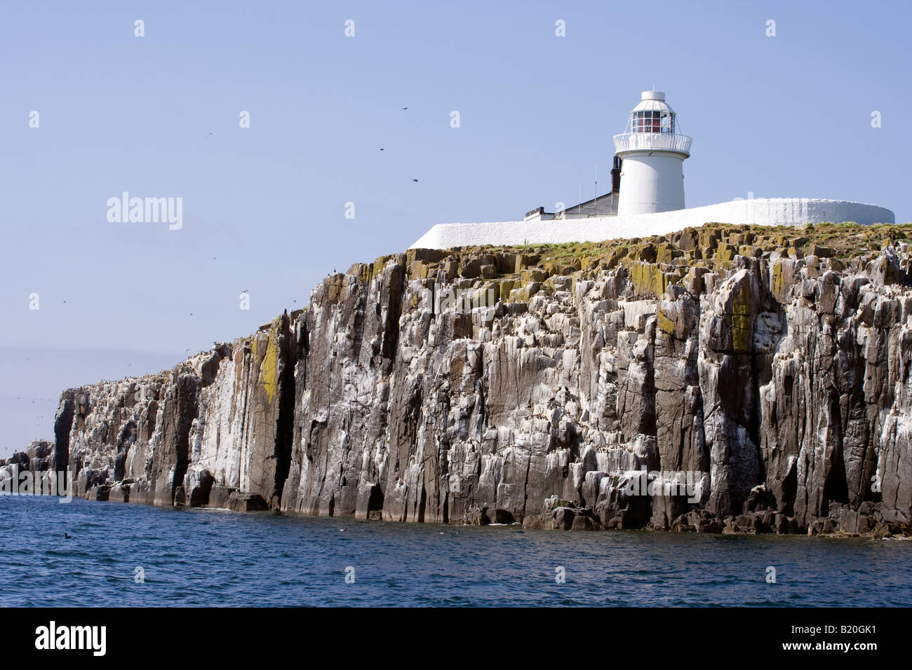 Inner Farne Island with White Lighthouse Farne Islands Northumberland Coast  England United Kingdom Stock Photo - Alamy