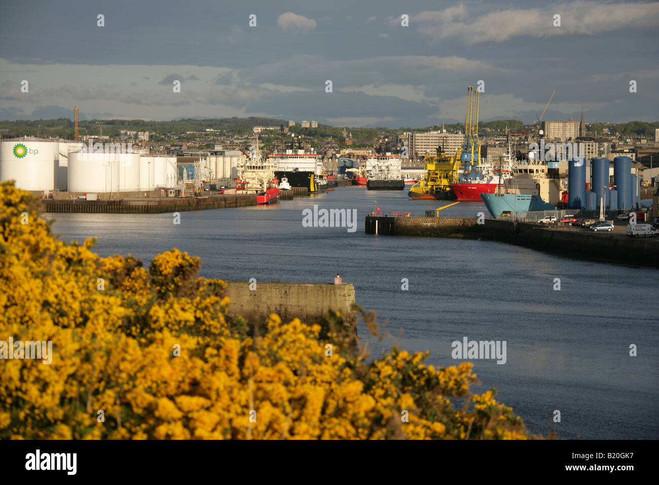 City of Aberdeen, Scotland. Morning view of Aberdeen Harbour with fishing boats and oil support ships berthed in the background. Stock Photo