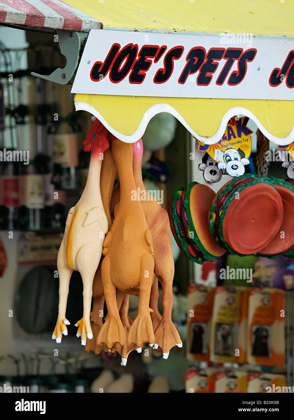 ANIMAL TOY RUBBER CHICKENS HANG ON DISPLAY FROM JOES PETS STORE DISPLAY