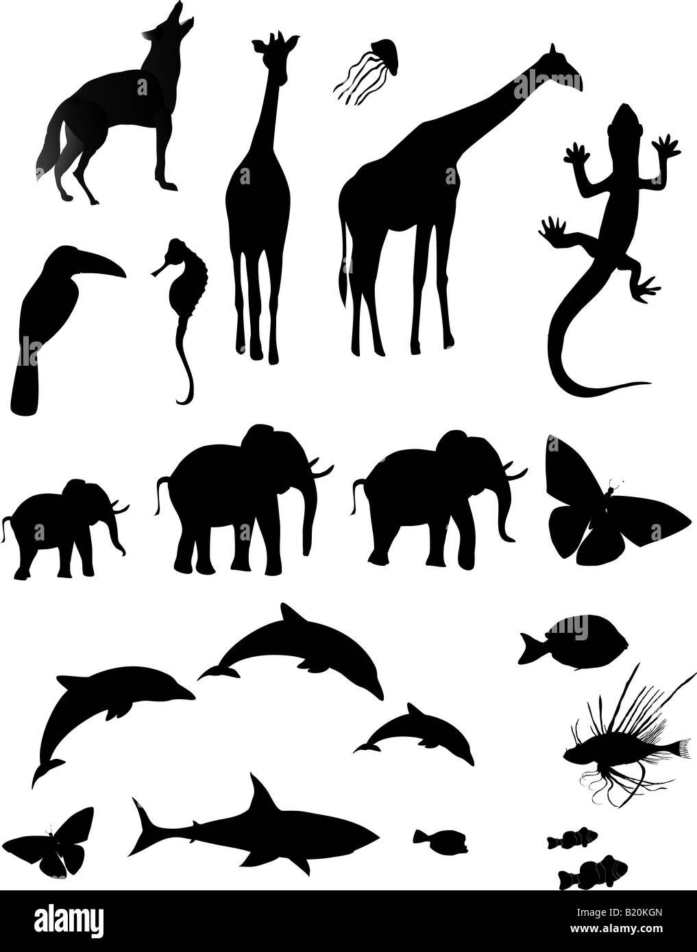 Silhouetted shapes of various animals Stock Photo
