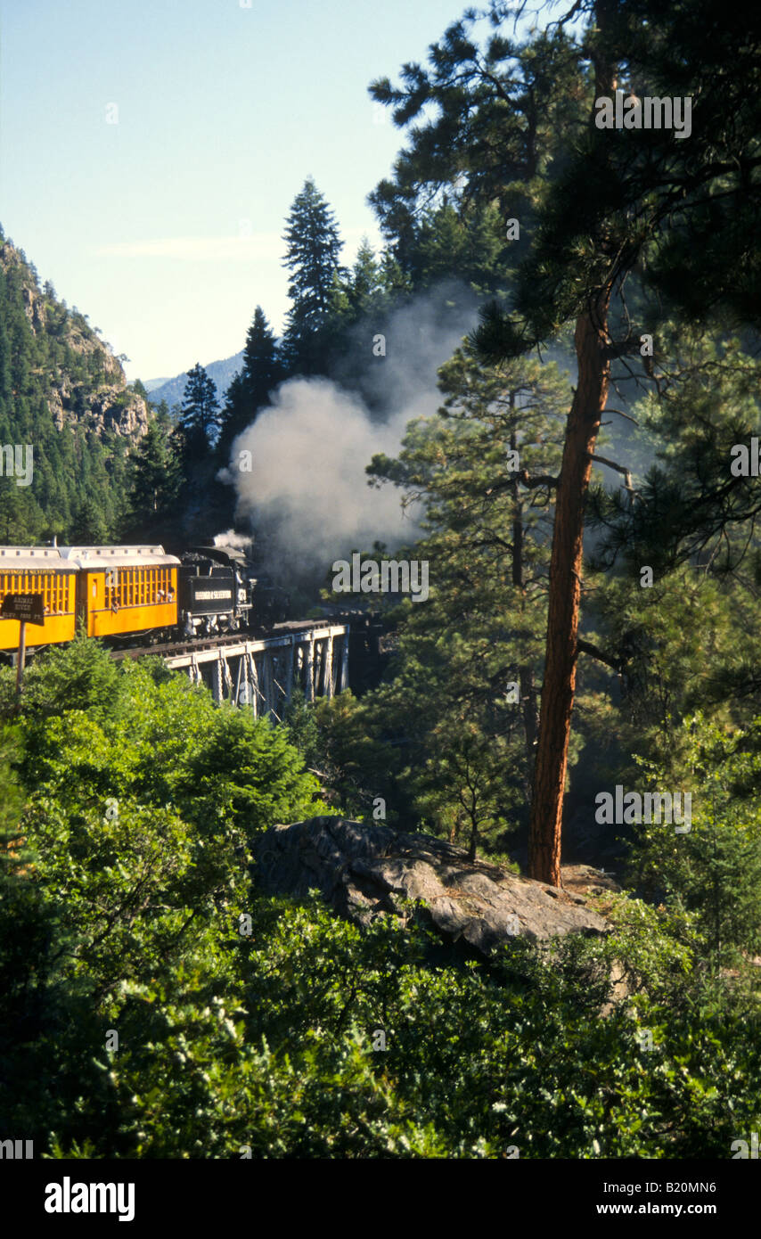 TRANSPORTATION Narrow gauge steam engine and train cars on track between Durango and Silverton Colorado steep mountainside Stock Photo