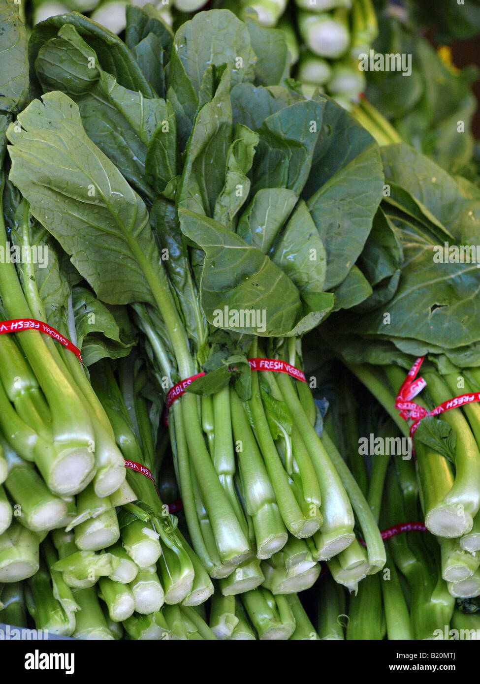 Choi sum chinese asian vegetable hires stock photography and images Alamy