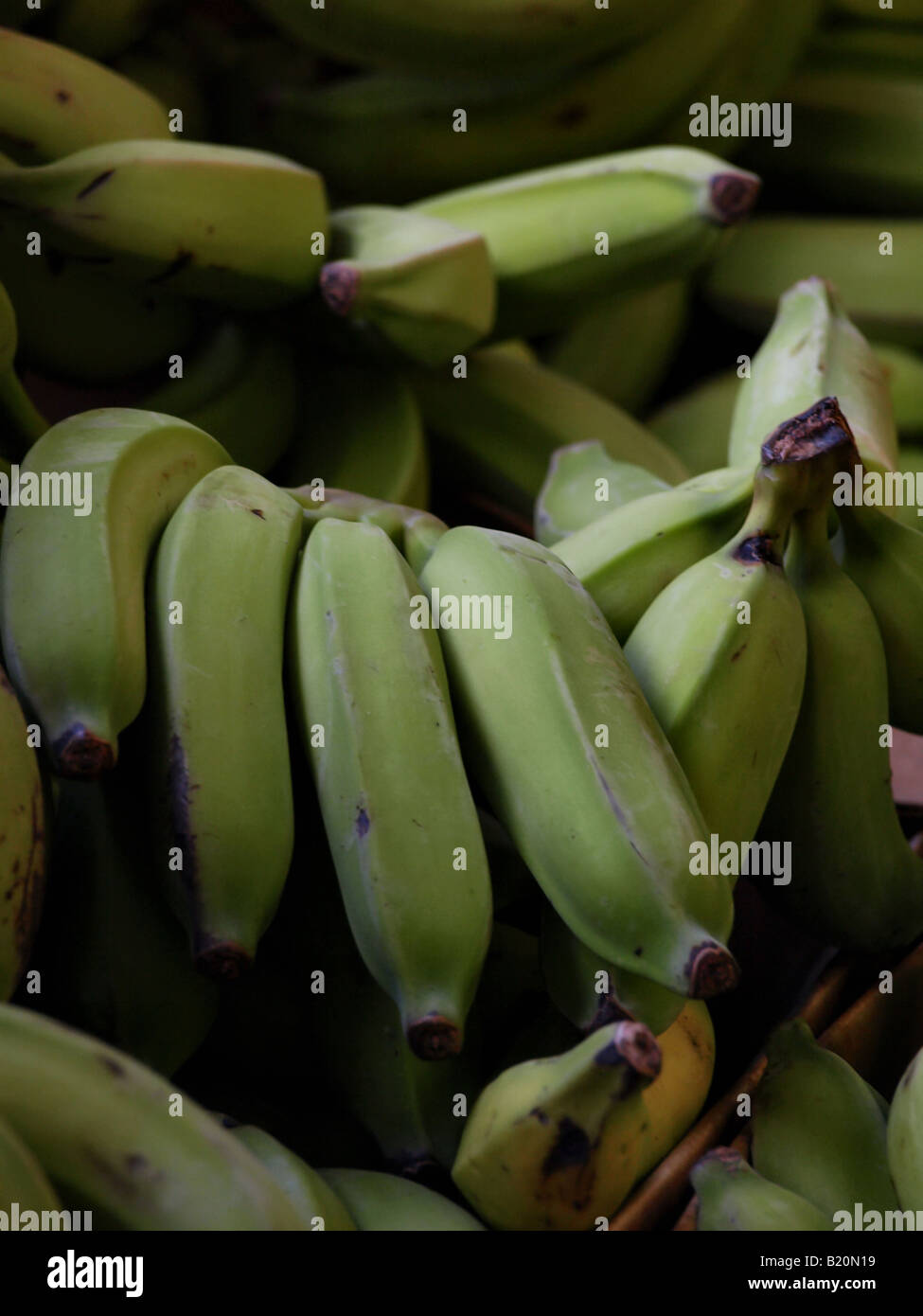 banana fruit Stock Photo