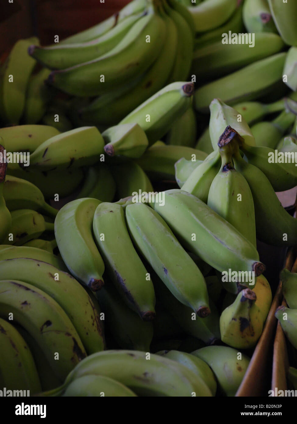 banana fruit Stock Photo