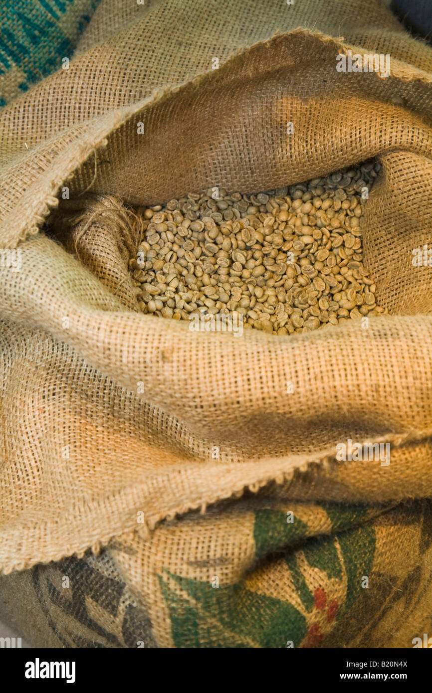 ILLINOIS Riverwoods Burlap bag pulled back to show green coffee beans before roasting Stock Photo