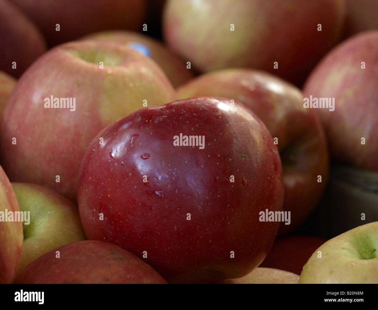 apples close-up Stock Photo