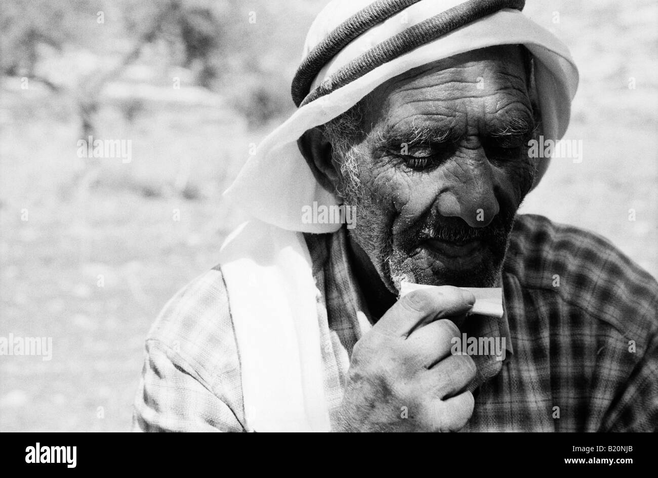 Palestinian man rolling a cigarette at harvest time Awarta Palestinian Occupied Territories Stock Photo