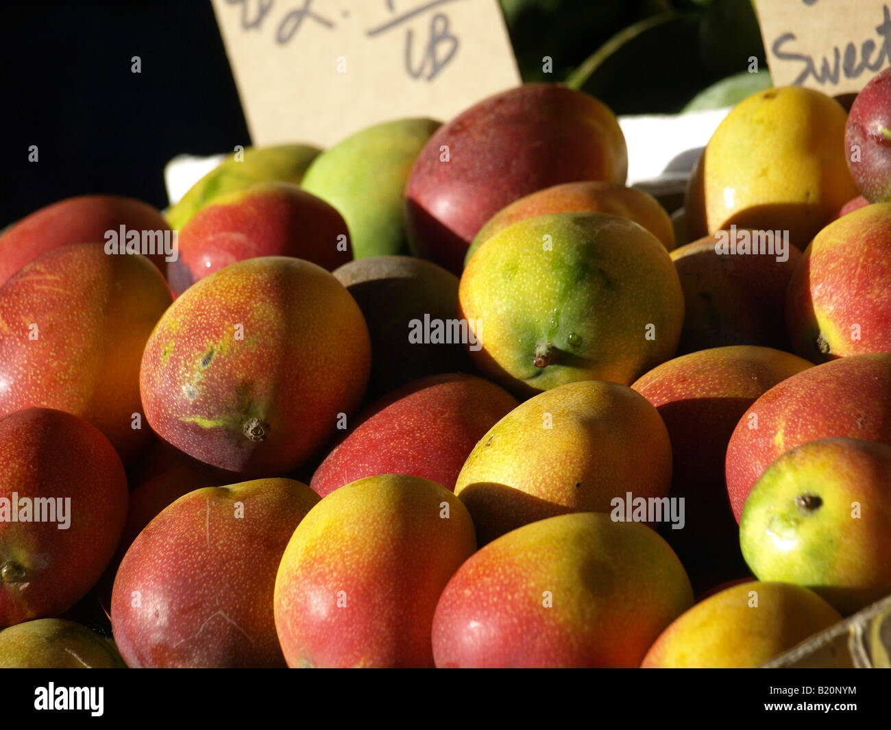 mangoes fruit Stock Photo