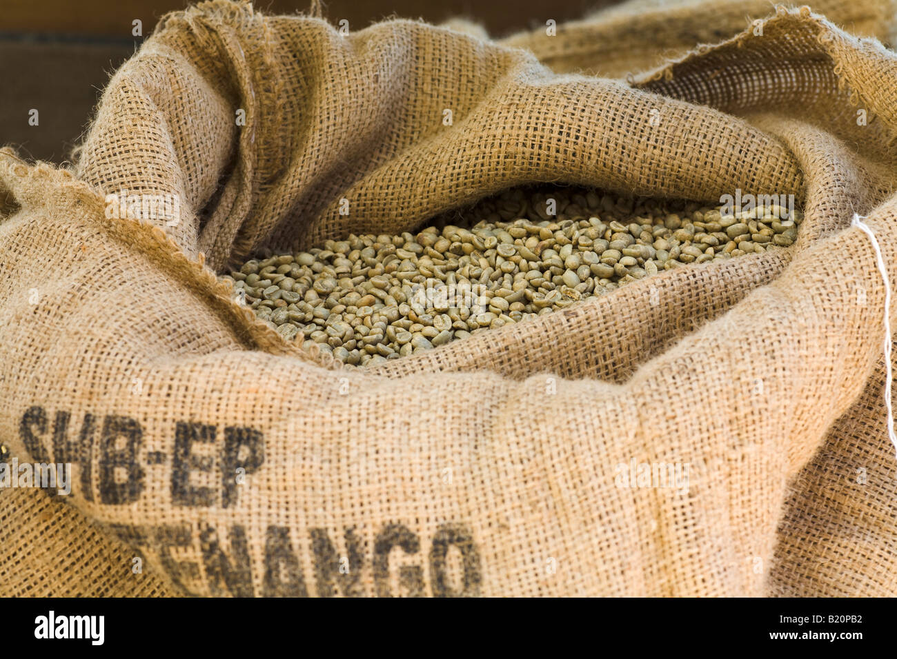 ILLINOIS Riverwoods Burlap bag pulled back to show green decaffeinated coffee beans before roasting Stock Photo