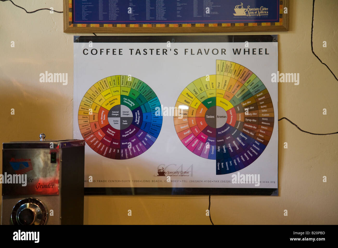 ILLINOIS Riverwoods Tasting wheel for sampling coffee taster flavor wheel with colors and descriptive words Stock Photo