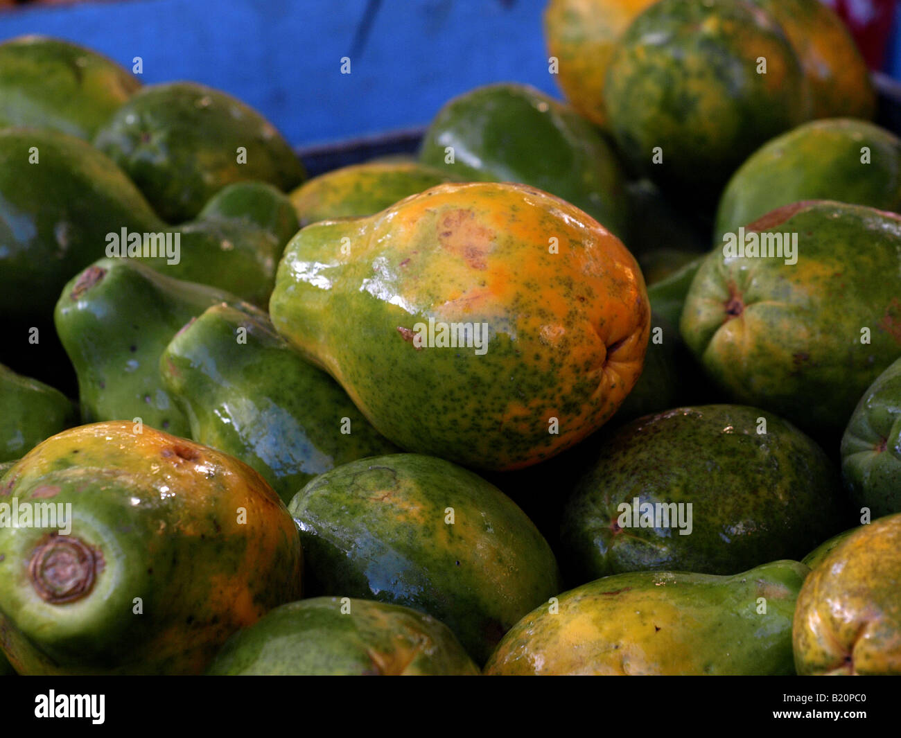 papaya fruit Stock Photo