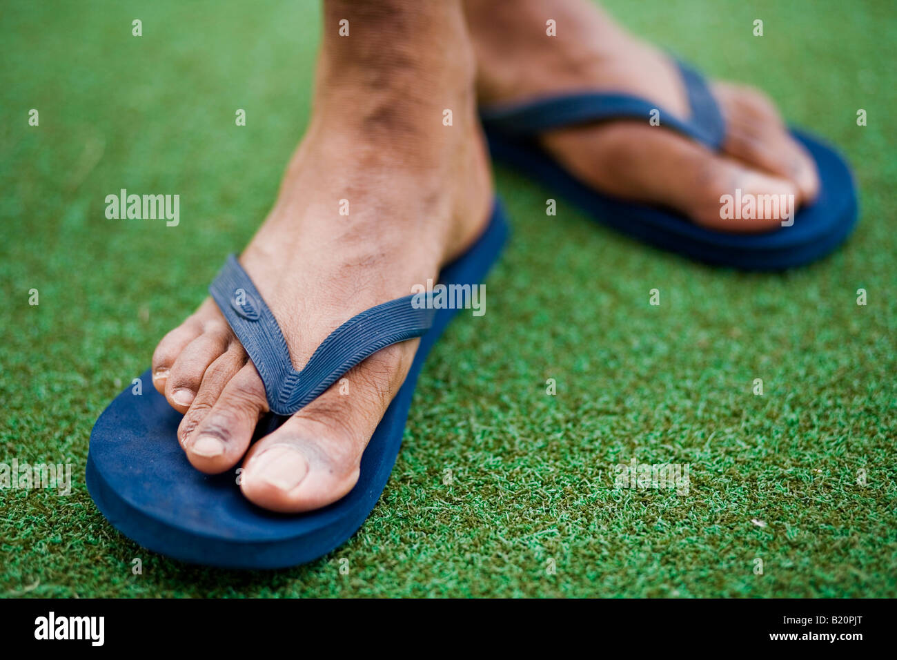 https://c8.alamy.com/comp/B20PJT/front-view-of-mans-feet-wearing-blue-flip-flops-B20PJT.jpg