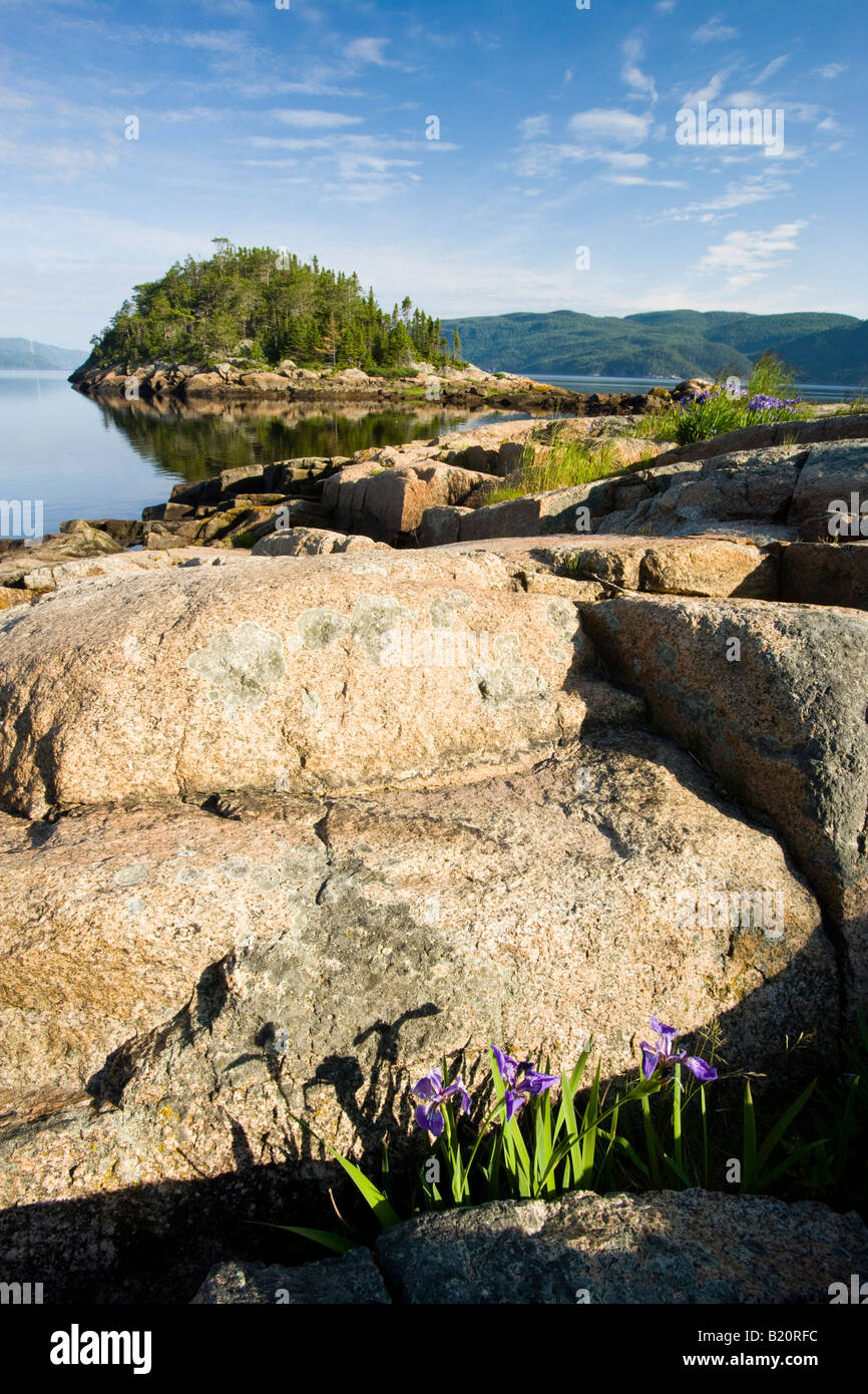The Saguenay River as seen from the pier in the village of Petit