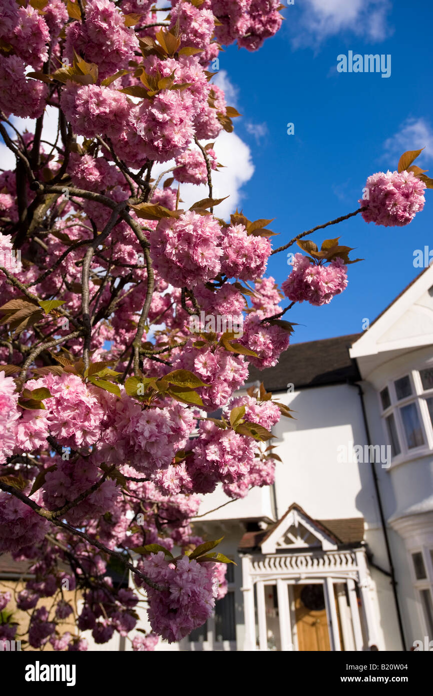 The home in ealing hires stock photography and images Alamy