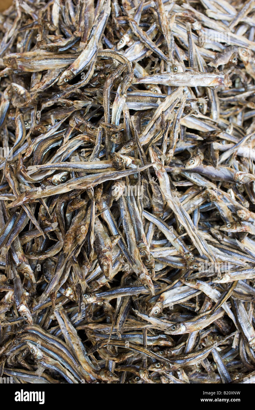Dried seafood in shop in Wing Lok Street Sheung Wan Hong Kong China