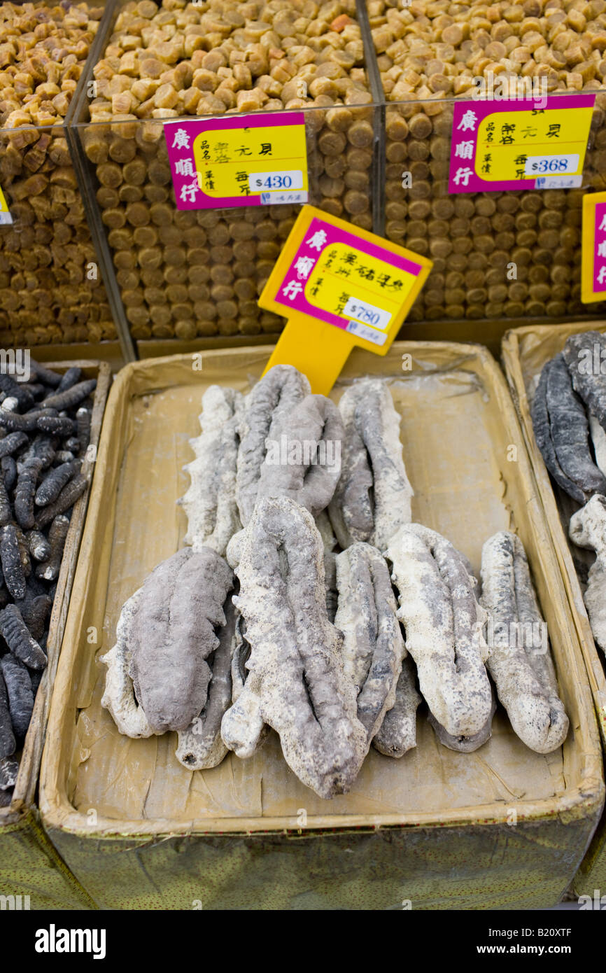 Sea cucumbers and dried scallops on sale in shop in Wing Lok Street