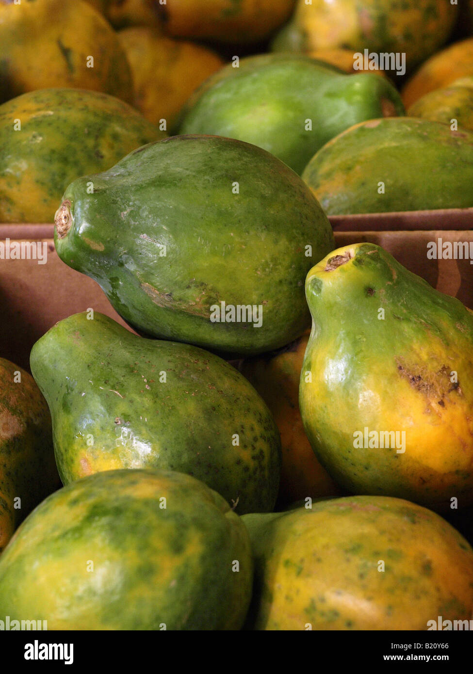 papaya fruit Stock Photo