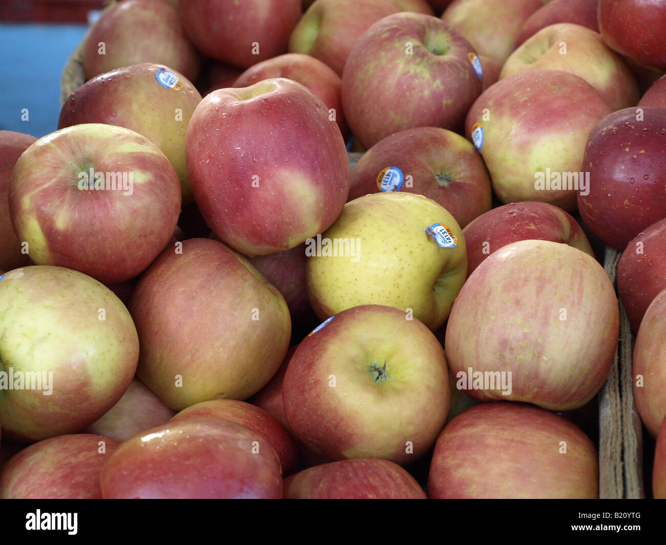apples close-up Stock Photo