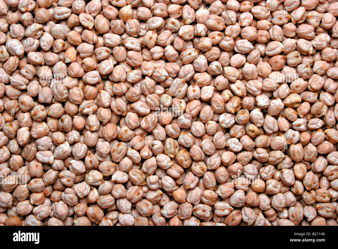 Piles of Kabuli Chana, Garbanzo Beans (Chickpeas) Stock Photo