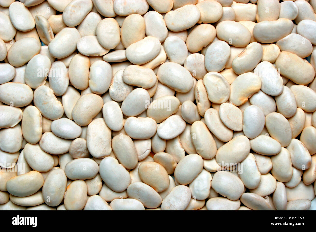 Closeup photos of spices hires stock photography and images Alamy