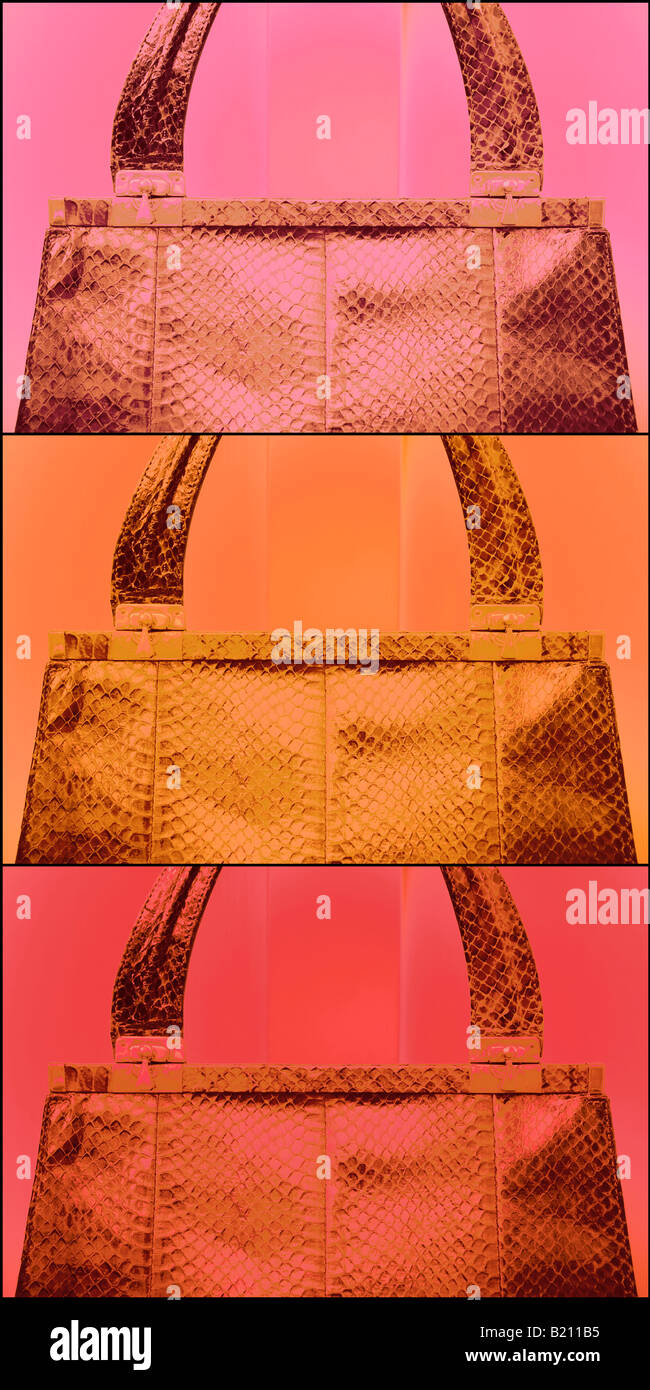 Handbag illustration Stock Photo