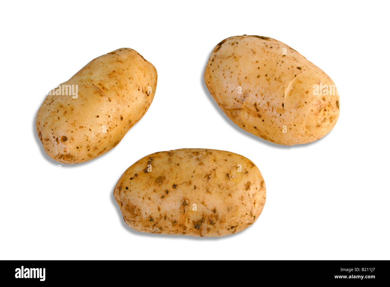 Solanum tuberosum edible tuber Cut Out Stock Images & Pictures - Alamy