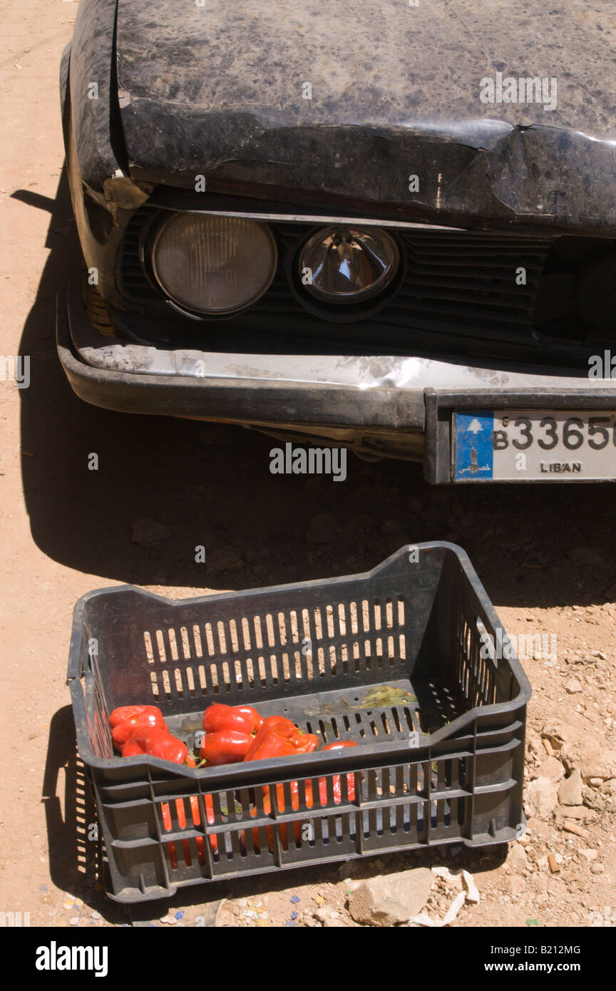 Red peppers on sale in the street of the Armenian quarter in Beirut