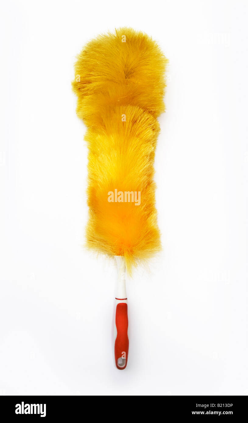 Feather duster against a white background Stock Photo Alamy