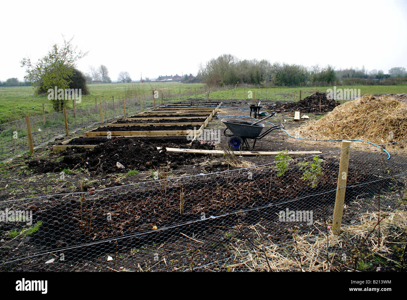 Kitchen Garden with raised beds Stock Photo
