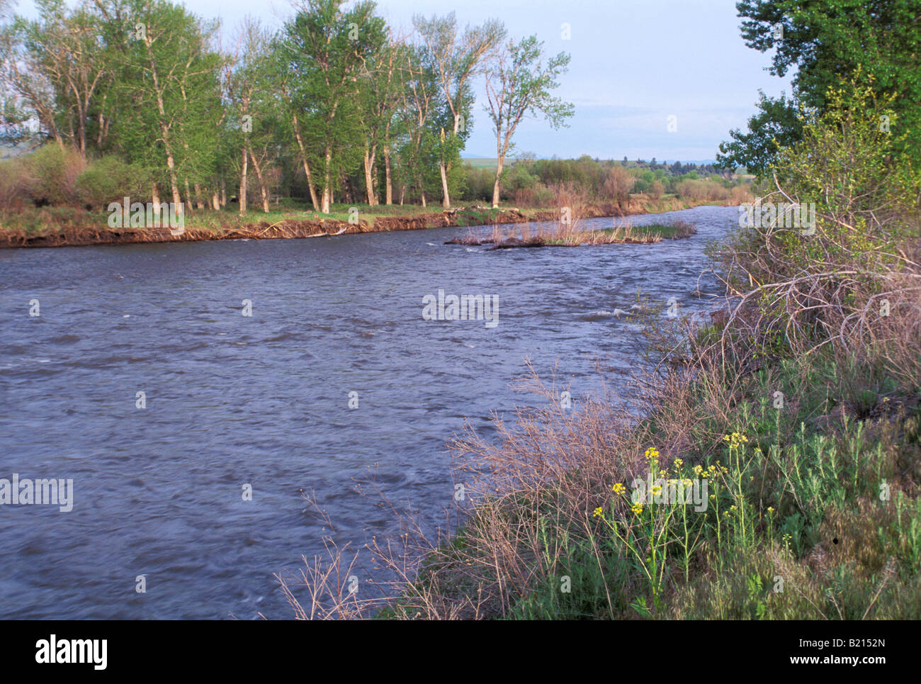 Clark Fork River named for William Clark named by Lewis and Clark expedition in Montana. Photograph Stock Photo