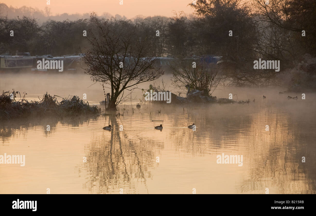 An atmospheric early morning view of Harefield marina by the Grand Union canal West London Middlesex UK in Winter Stock Photo