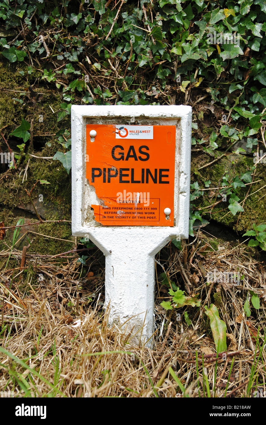 a gas pipeline notice sign in a country lane in cornwall,uk Stock Photo
