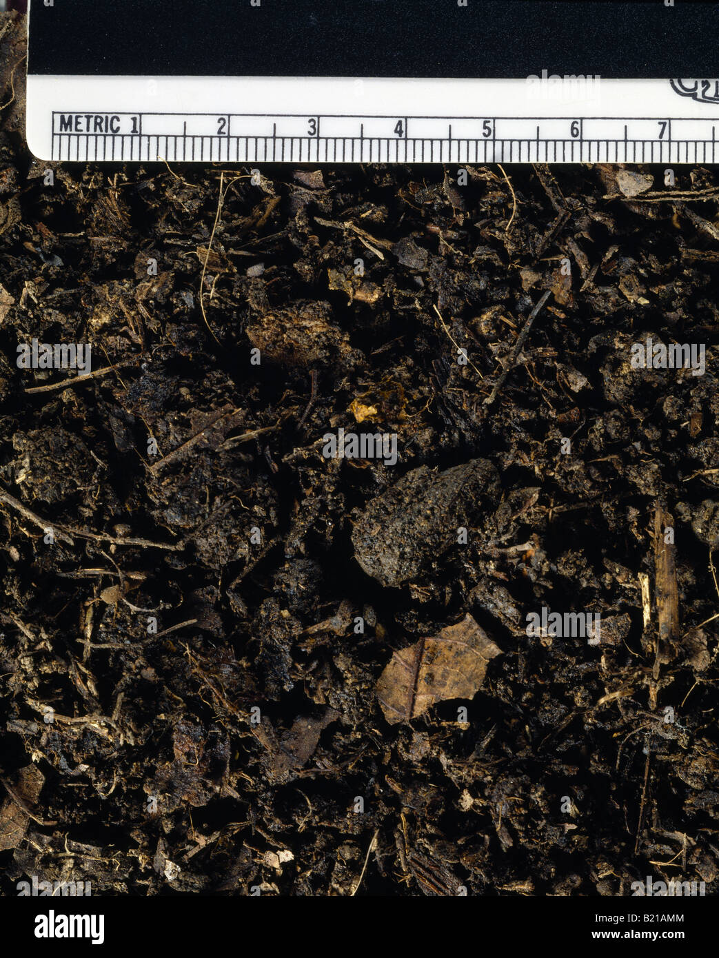 Magnified soil hi-res stock photography and images - Alamy