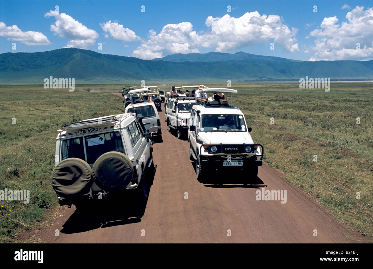 Congestion of tourist 4wd vehicles in the Ngorongoro Crater while game viewing. Stock Photo