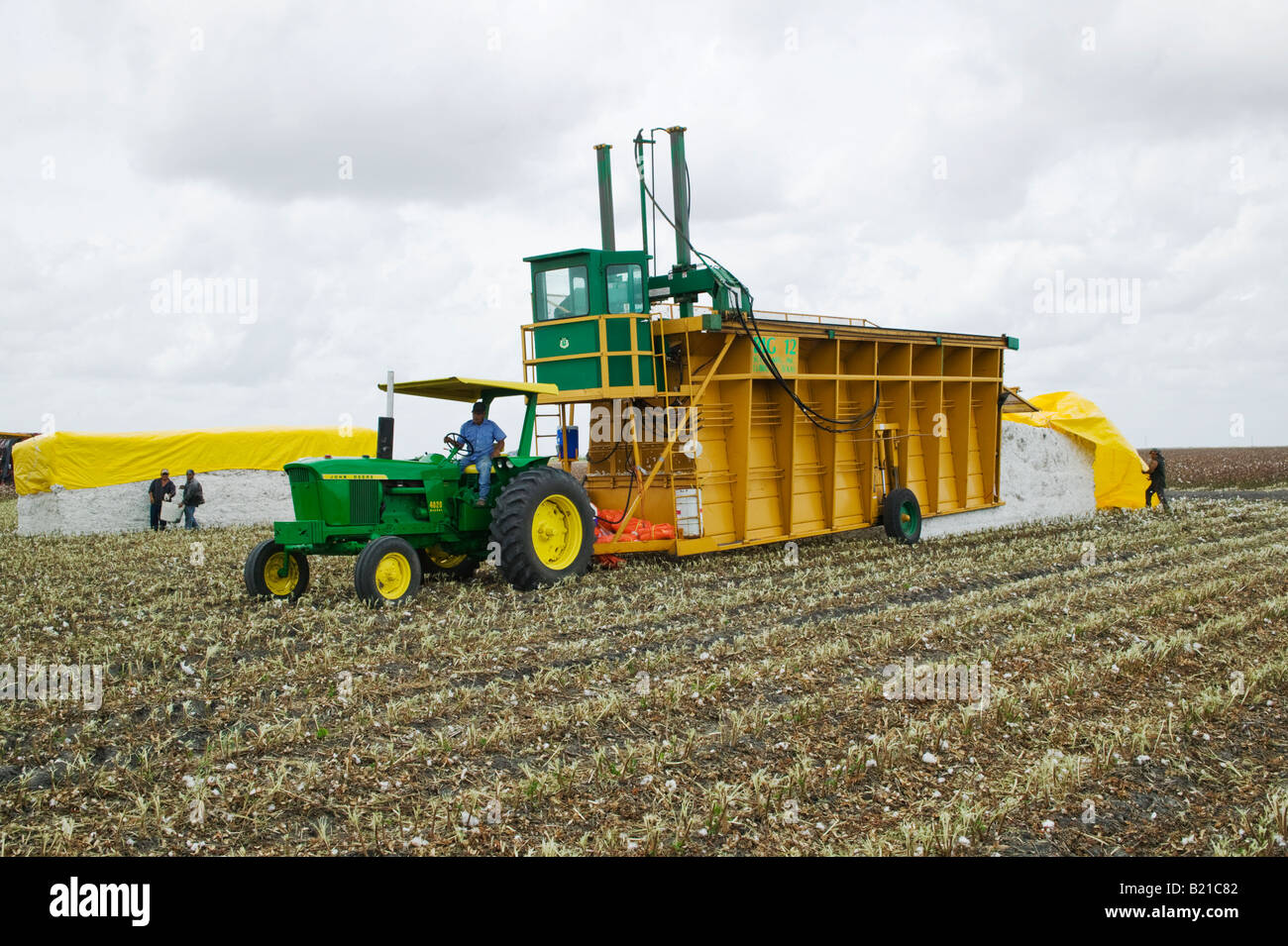 Harvesting equipment in cotton fields on Texas ranch Stock Photo Alamy