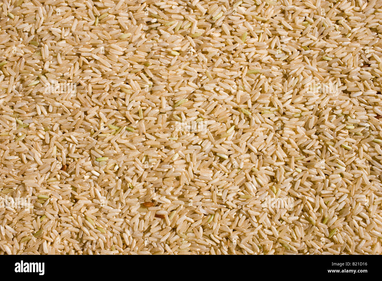 Brown wholegrain rice Rice has become an expensive commodity as its in short supply Stock Photo