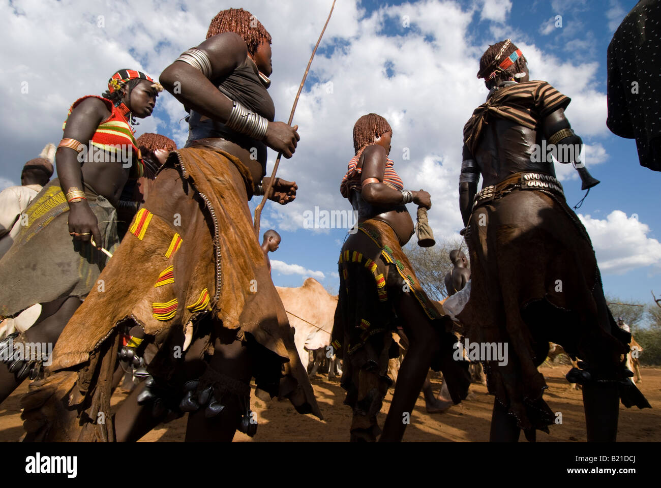 Bull Jumping Ceremony Dimeka Omo Valley Ethiopia Stock Photo Alamy bull-jumping-ceremony-dimeka-omo-valley-ethiopia-stock-photo-alamy