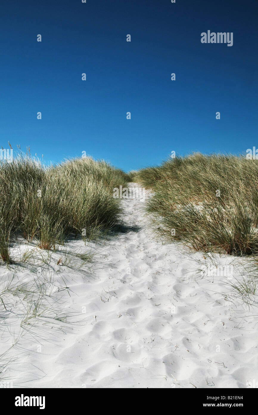 white sand dune Stock Photo