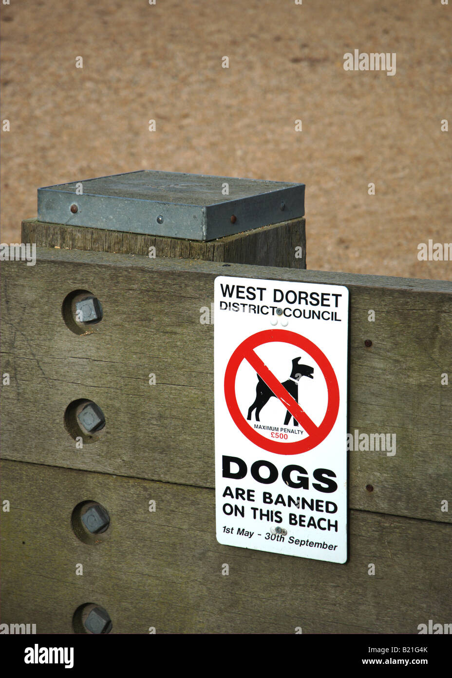 No dogs on beach sign on a Beach in Dorset Stock Photo