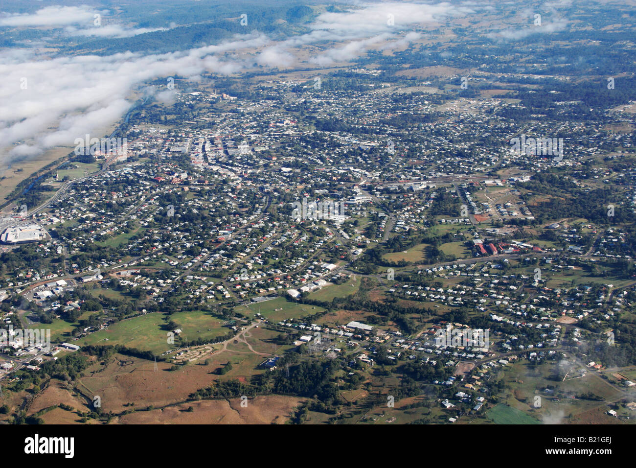 Gympie gympie hires stock photography and images Alamy