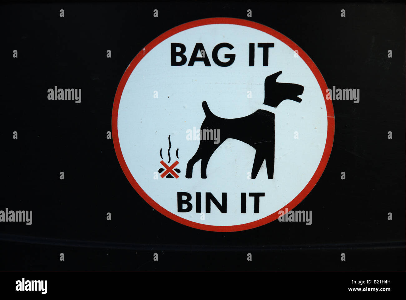 Where Should I Throw Away Dog Poop