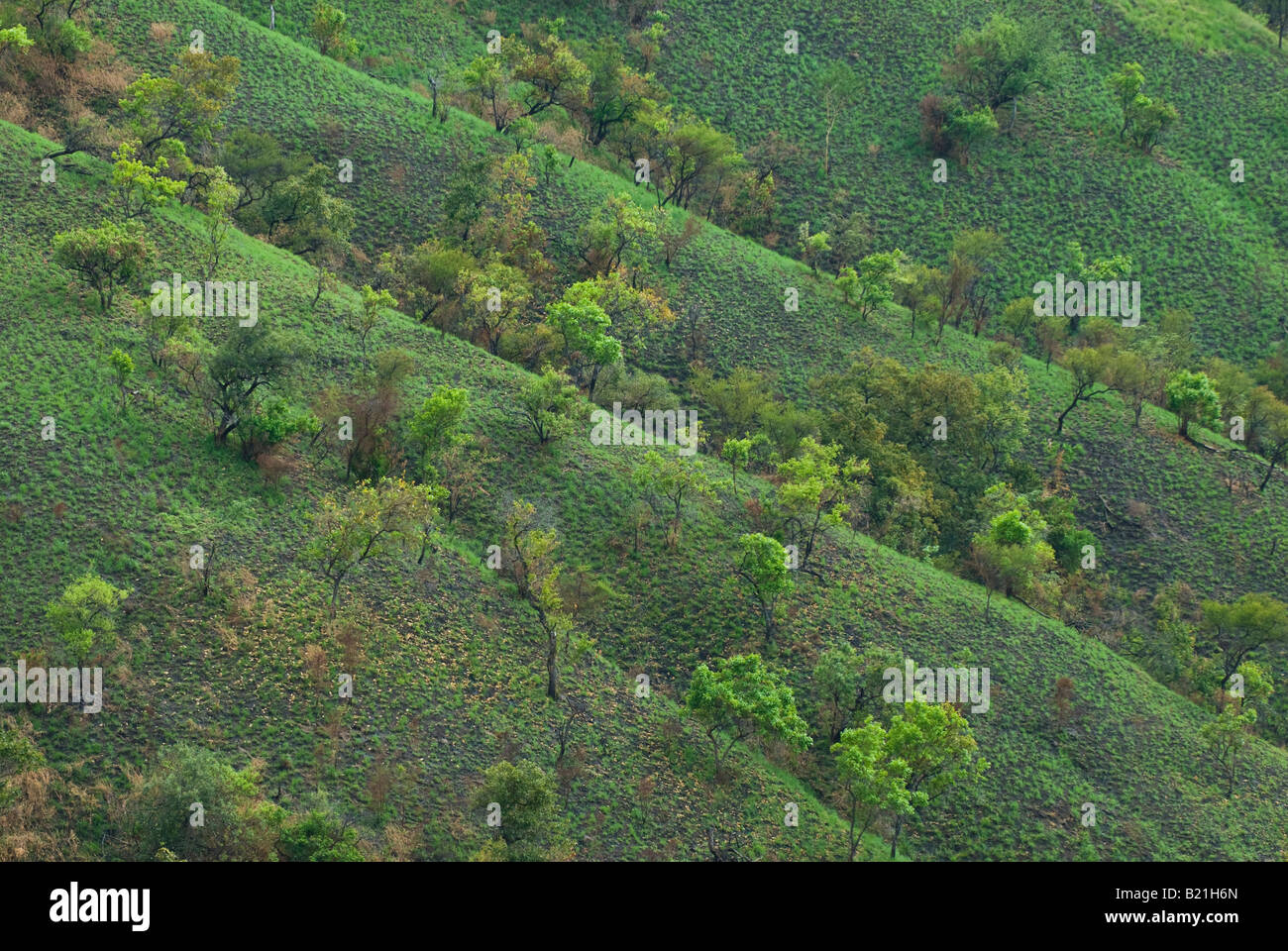 Ethiopia tree landscape hires stock photography and images Alamy