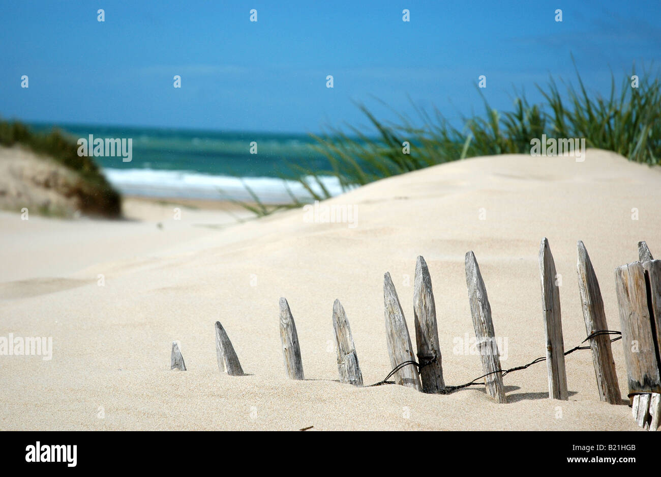 Fence posts buried in sand at seaside in Carteret northern France Stock Photo
