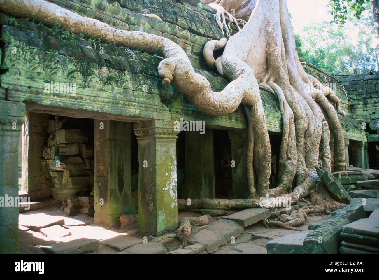 Ta Prohm Temple - Cambodia Stock Photo