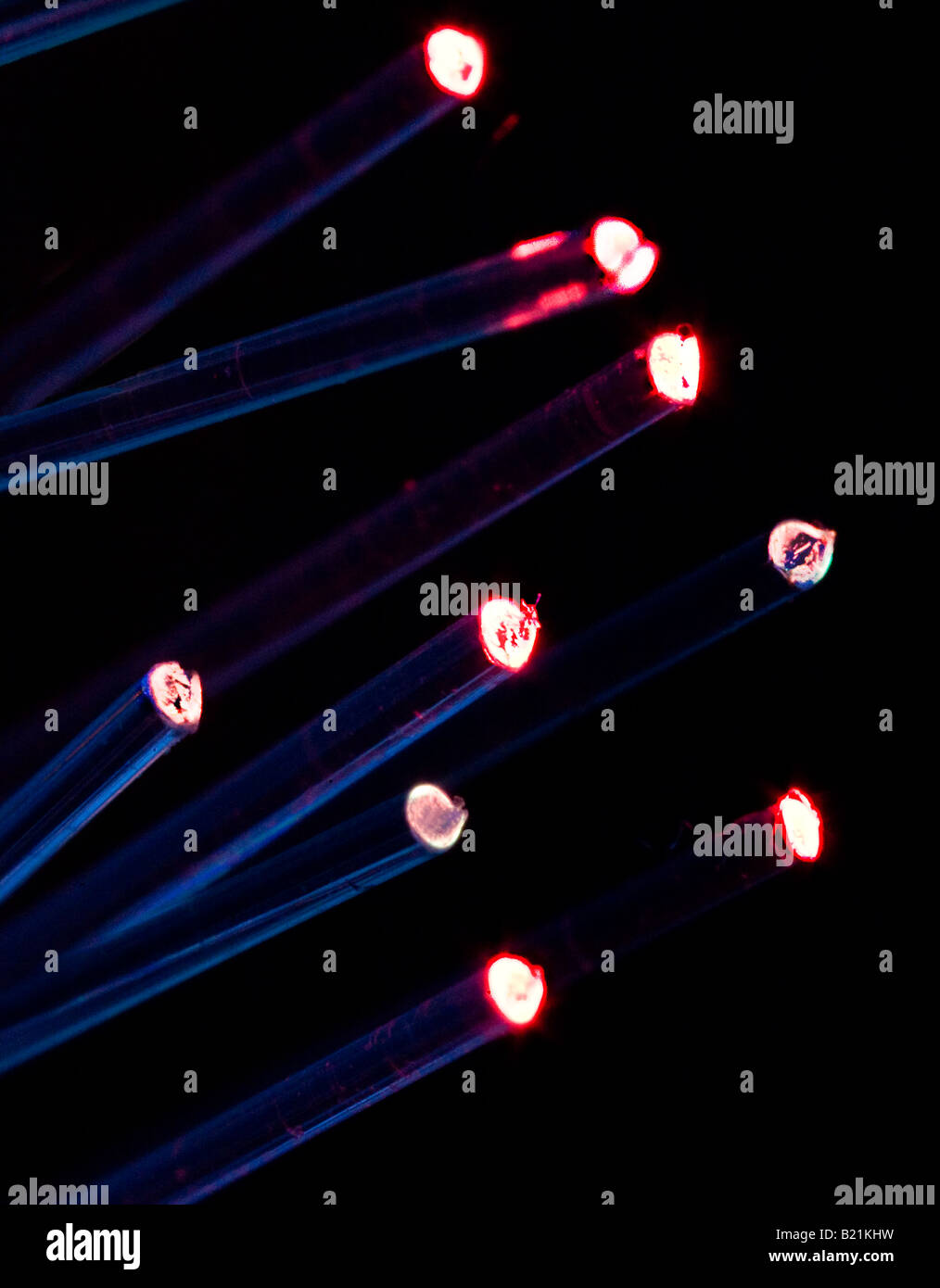 glass fibre for optical communication Stock Photo Alamy