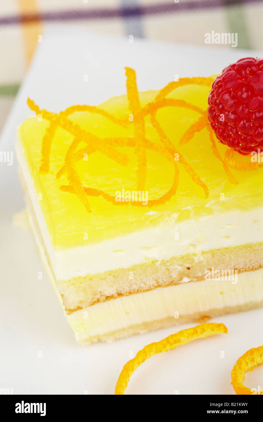 Delicious lemon cake with soft shadow on white dish Shallow depth of field Stock Photo