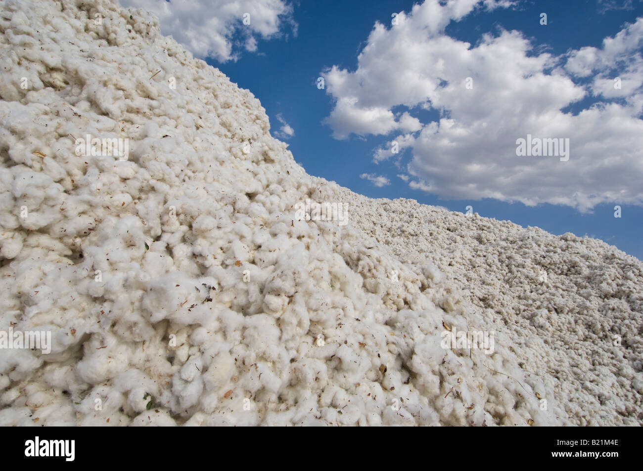 Cotton being prepared to be commercialized, Ethiopia. Stock Photo