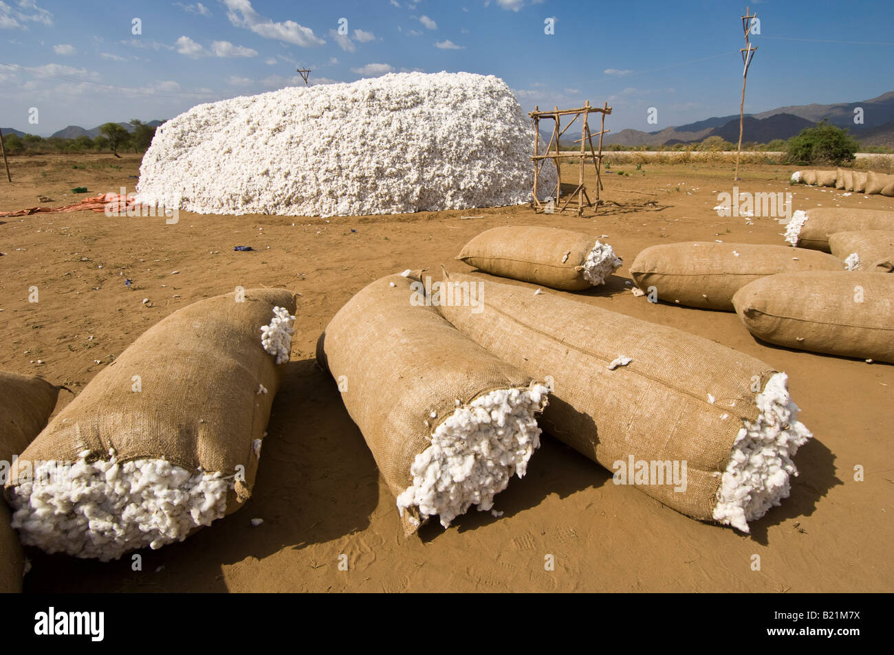 Cotton being prepared to be commercialized, Ethiopia. Stock Photo