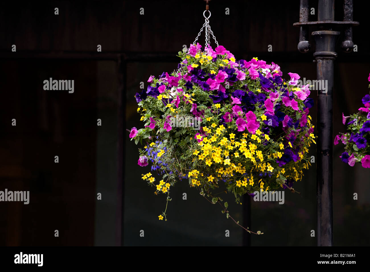 Lamp post hanging flower basket hi-res stock photography and images - Alamy