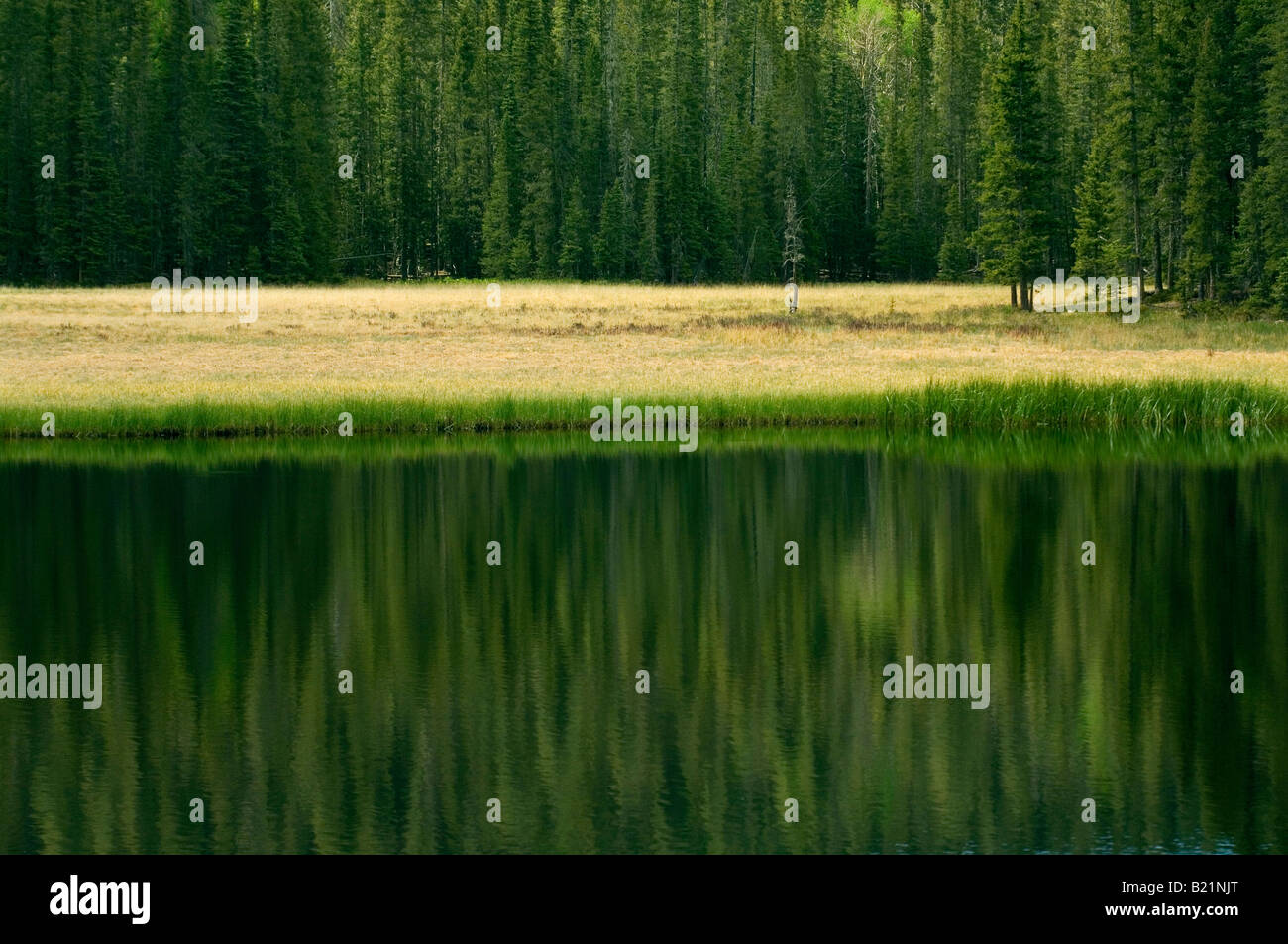 High-altitude lake in the Pecos Wilderness Sangre de Cristo Mountains